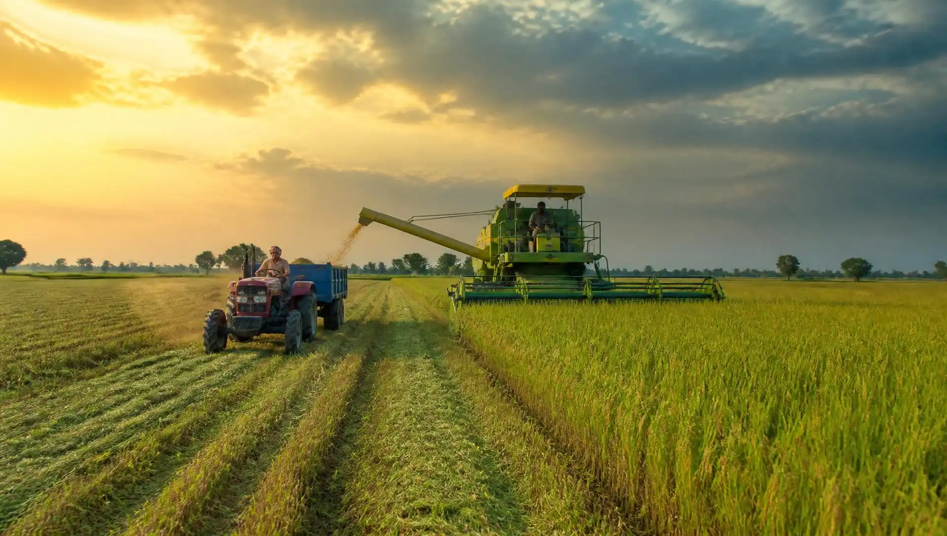 Indian agricultural fields with tractors and harvesters at work